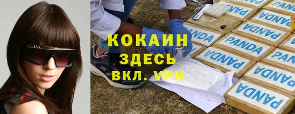 сатива Белоозёрский