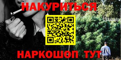 прущие грибы Будённовск
