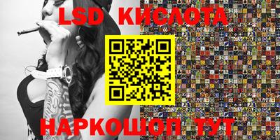 прущие грибы Будённовск