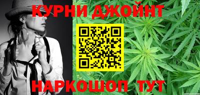 прущие грибы Будённовск