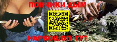 прущие грибы Будённовск