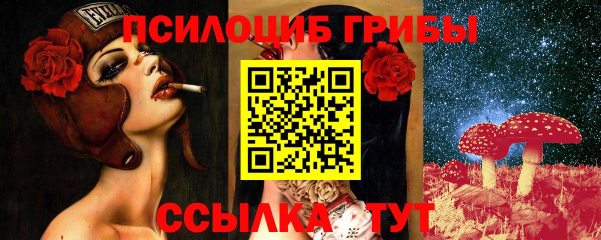 Псилоцибиновые грибы Cubensis  Горно-Алтайск  Галлюциногенные грибы ЛСД 