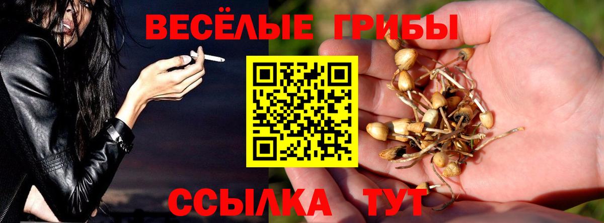 Горно-Алтайск  Галлюциногенные грибы Magic Shrooms  Псилоцибиновые грибы Cubensis  Вход с VPN 